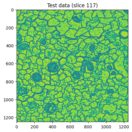 An example of what a slice in my dataset looked like.